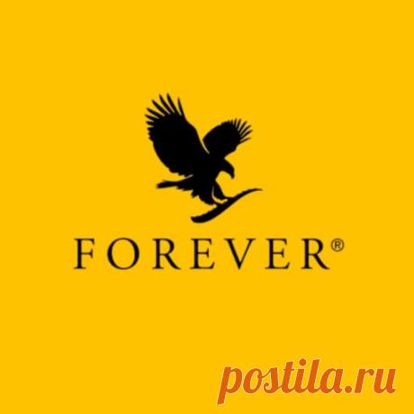 Редактировать страницу “ВИДЕО 2” ‹ — WordPress