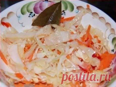Бомбовая капустка — Сад Заготовка