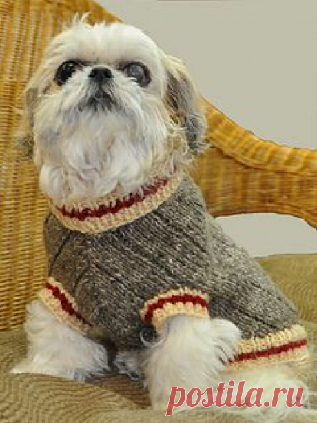 Perfect knit for the confident beginning knitter. Pattern includes step-by-step written instructions.