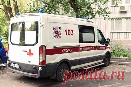 Под Москвой мужчина упал на дерево и насквозь распорол брюшную полость