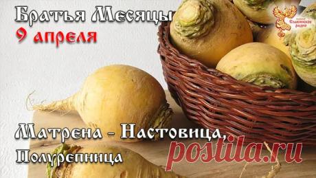 С праздником Полурепицы! Желаю, чтобы, как и в старину, сегодня вы легко разделили дела на важные и срочные, и все успели. Пусть святая Матрена помогает в домашних делах, а наст жизни будет крепким! Открытки на Матрена Настовица (Полурепица)!