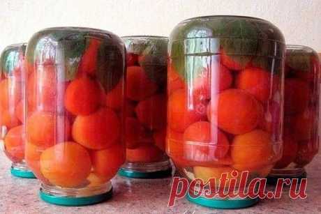 Заготовка помидор &amp;#127813; с малиновыми листьями &amp;#127807;