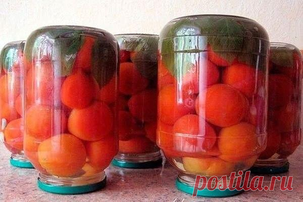Заготовка помидор &#127813; с малиновыми листьями &#127807;