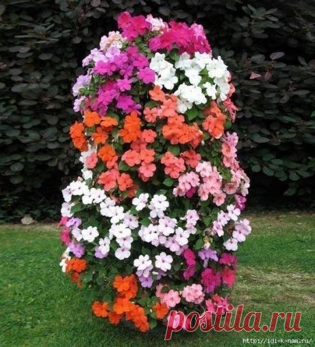 вертикальная клумба с петунией