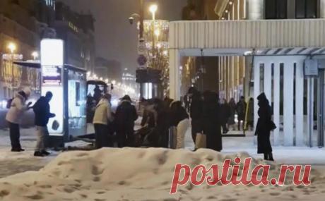 В центре Москвы лошадь умерла после удара током. Две лошади получили удар током от информационного табло в центре Москвы, одна из них умерла.