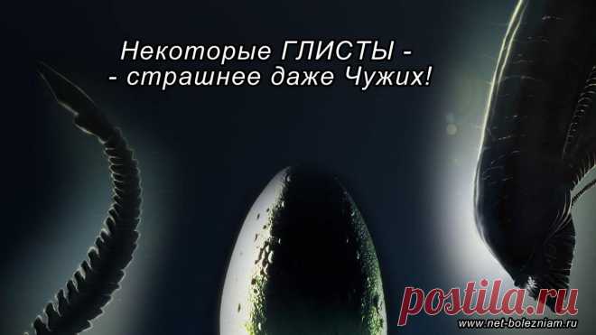 Гельминтоз - заражение глистами
Глисты (гельминты) являются паразитными животными, которые могут поразить различные органы человека, вызывая болезни различной сложности вплоть до смерти.