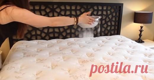 Чистка матраса за 15 минут средством, которое есть на каждой кухне | Golbis