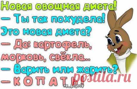 Отличная диета!.