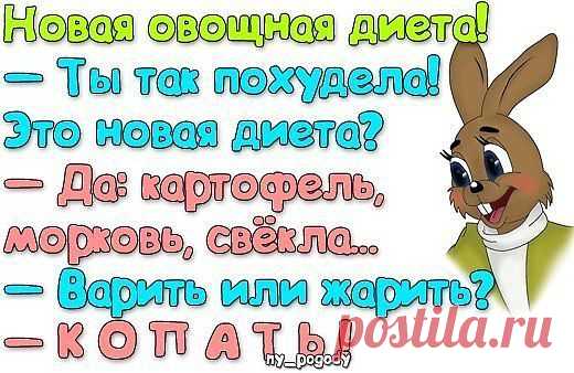 Отличная диета!.