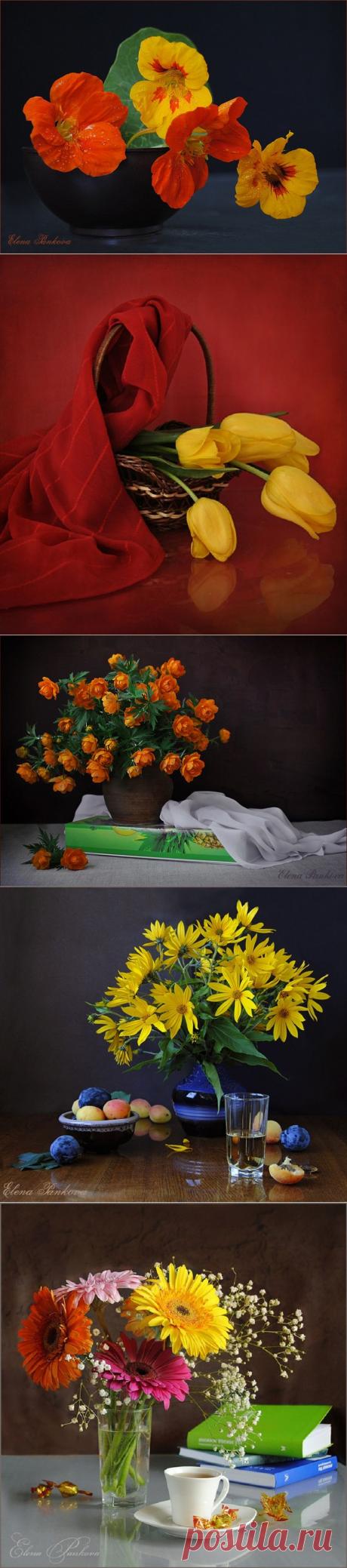 Яркие натюрморты Елены Панковой.== Каждый день должен содержать
яркий поступок.
Пусть даже самый нелепый.
Пусть даже это будет желтый шарф,
завязанный на березе.
Йозеф Эметс