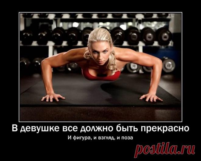 Занимайтесь каждый день!
Отбросьте лень и отговорки!