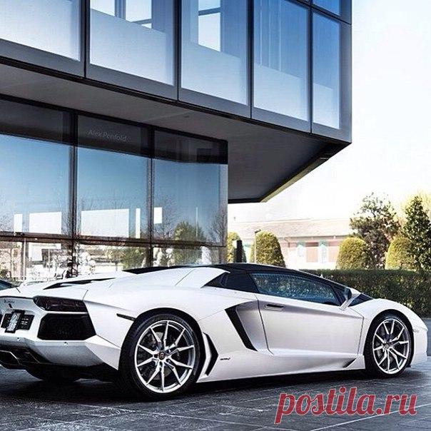 Lamborghini / Только машины
