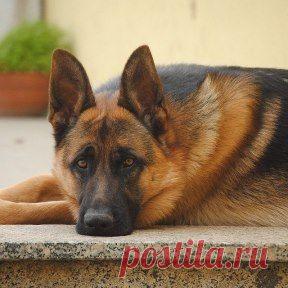 Красавец
СОХРАНИТЬУстановить себе