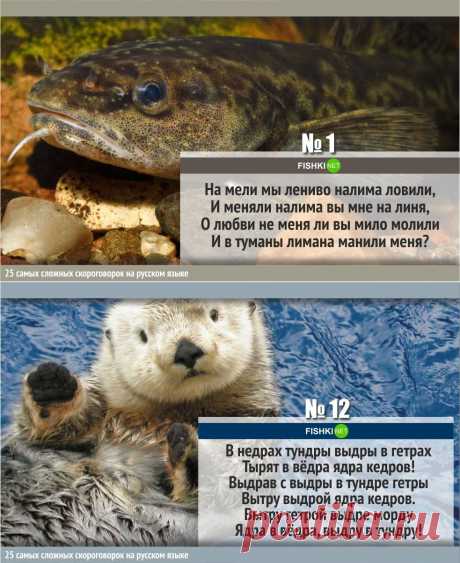 25 самых сложных скороговорок на русском языке