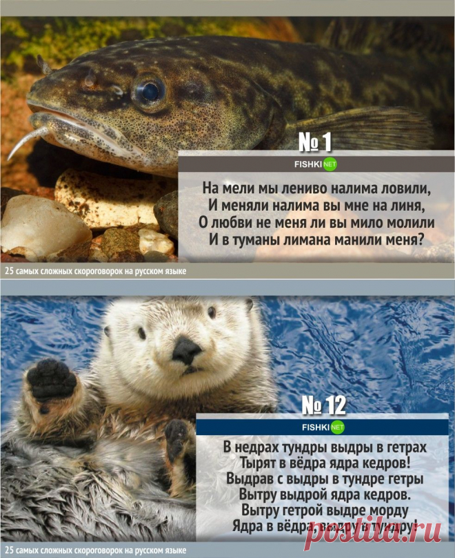 25 самых сложных скороговорок на русском языке