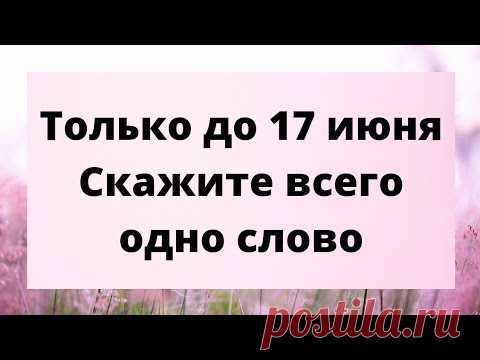 Только до 17 июня, скажите всего одно слово.