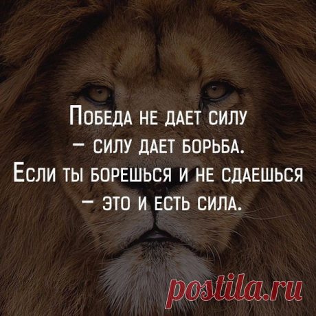 РАСКРУТКА. БИЗНЕС. МОТИВАЦИЯ.