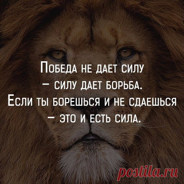 РАСКРУТКА. БИЗНЕС. МОТИВАЦИЯ.