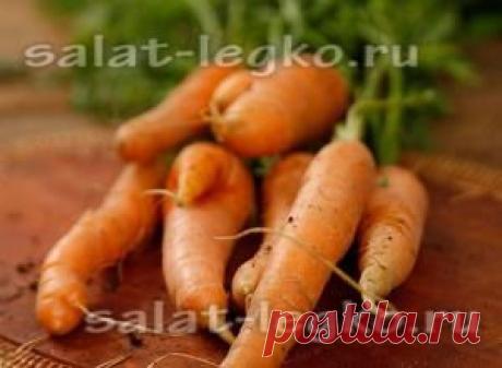 Как вырастить морковь на подоконнике?