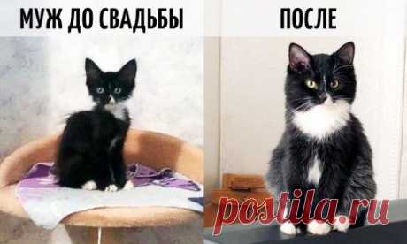 9 фотографий о том, как меняется жизнь после свадьбы