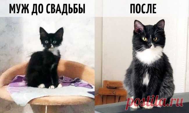 9 фотографий о том, как меняется жизнь после свадьбы