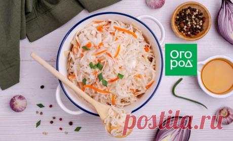 Квашеная капуста на зиму по трем рецептам | Статьи (Огород.ru)