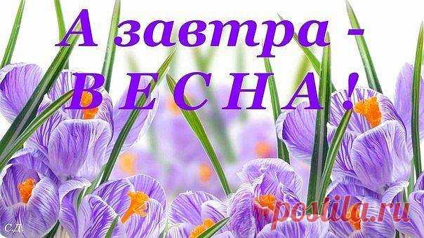 (1) Facebook