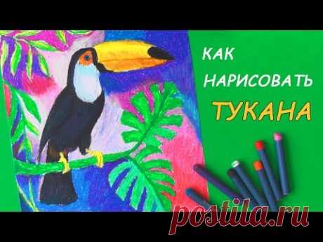 Как нарисовать птицу ТУКАНА пастелью | Уроки рисования