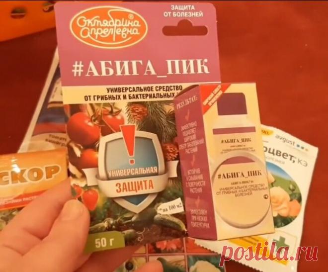 Про первую весеннюю обработку РОЗ медьсодержащими препаратами. | Цветочница Анюта 🌹 | Яндекс Дзен