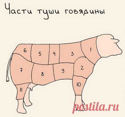 Как Ольга Остроумова в фильме 
