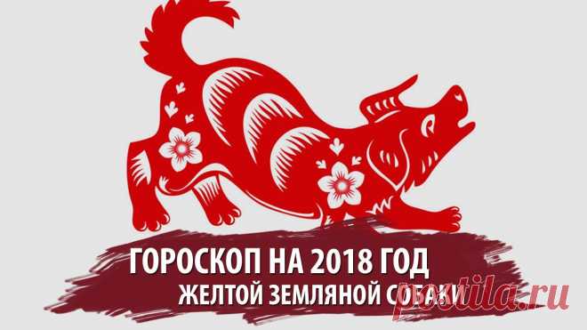Когда наступит год собаки 2018 по восточному календарю, и каким он будет