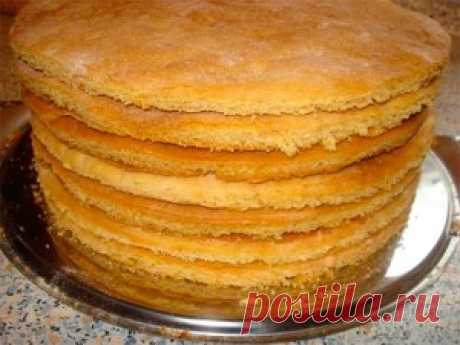 Быстрые коржи для торта | Домашние кулинарные рецепты