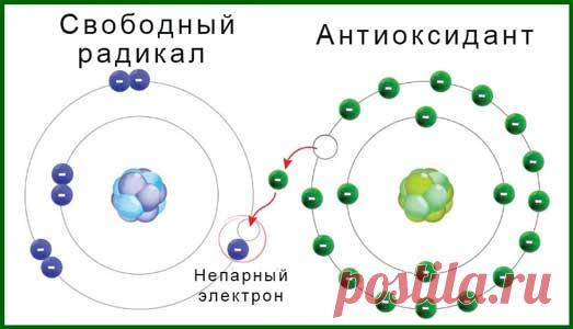 Действие свободных радикалов на организм человека. Молекулы, у которых есть неспаренный электрон, называются свободными радикалами. Для восстановления собственного баланса они начинают отрывать электроны от других молекул, запуская цепную реакцию в виде так называемого окислительного стресса.Погружаться глубоко в дебри клеточной биологии и химии мы с вами не будем. Единственное, о чем стоит знать, что окислительный стресс может привести не только к повреждению клеток, белков, липидов и нуклеинов