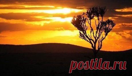 Тот, у кого в Душе светит Солнце, будет видеть Солнце даже в самый хмурый день.

© Конфуций