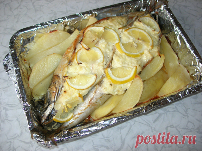 Фаршированная скумбрия