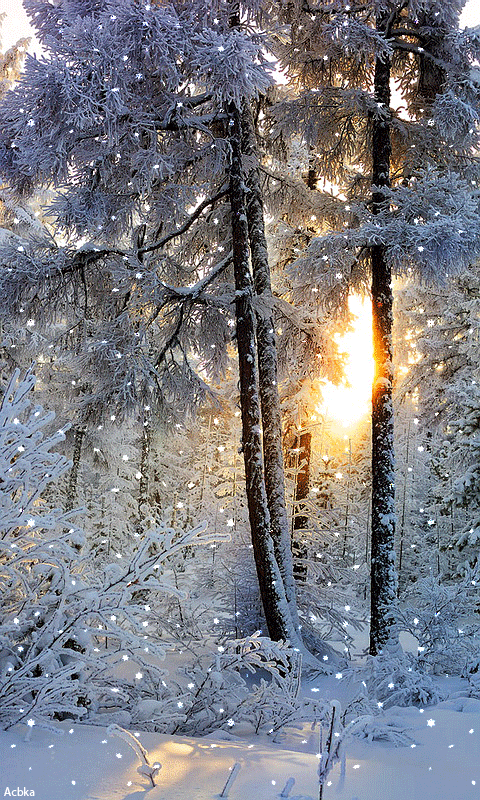 Галина Андреева - Google+
