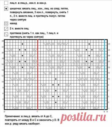 Beautiful Women Knitted Top