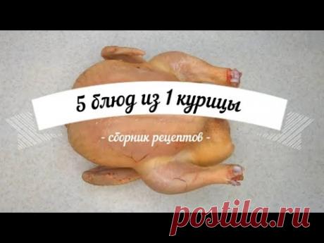 5 блюд из одной курицы - еда без труда -  простые доступные рецепты