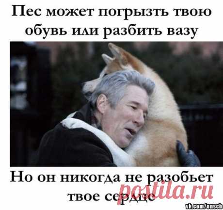 Школа? Не, не слышали!
