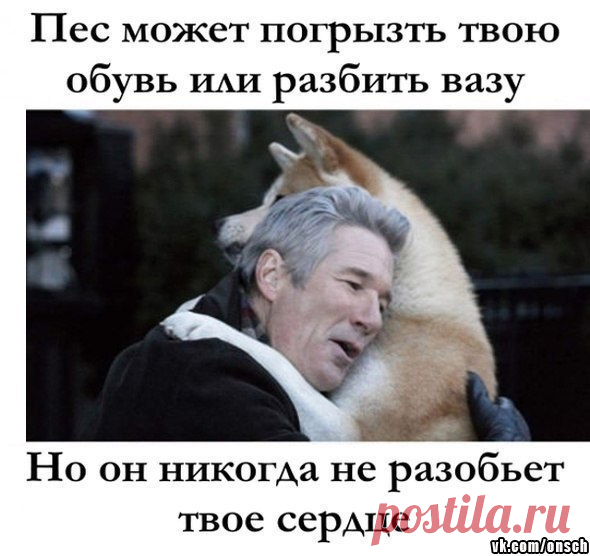 Школа? Не, не слышали!