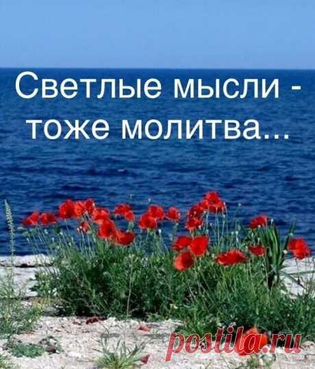 Мой Мир@Mail.Ru