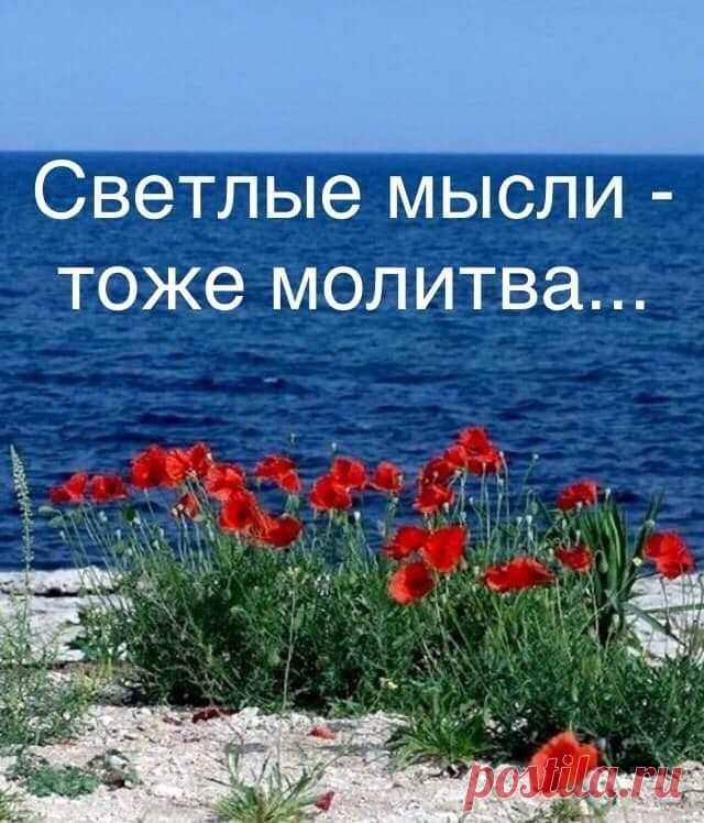 Мой Мир@Mail.Ru