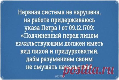 Перлы из резюме, которые хочется растащить на цитаты