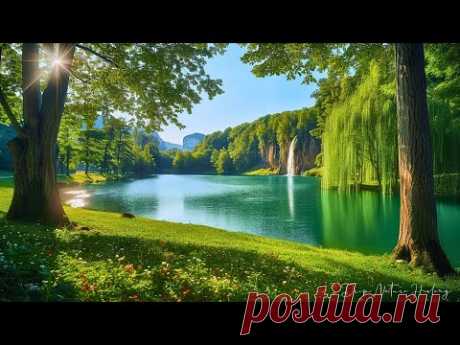 Healing music therapy 🌿 Calm nature sounds for stress release, Relaxing music, Insomnia relief