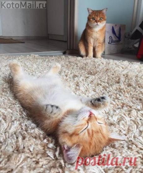 Комфортное место