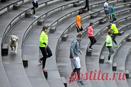 Бег по ступенькам для похудения: польза, вред, план тренировок и рекомендации Бег по ступенькам давно является народным спортом, развитию которого способствовала цивилизация. К этому привело появление транспорта, лифтов и большего количества умственных профессий. Но бег по лестнице – это не только модно, но и полезно. Рассмотрим, чем же хорош такой спорт и как начать им заниматься.Польза бега по лестницеПрежде всего лестницы привлекают бегунов тем, что это анаэробная нагру...