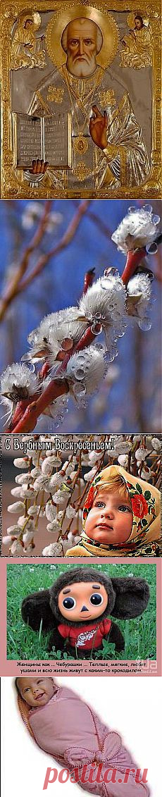 Одноклассники