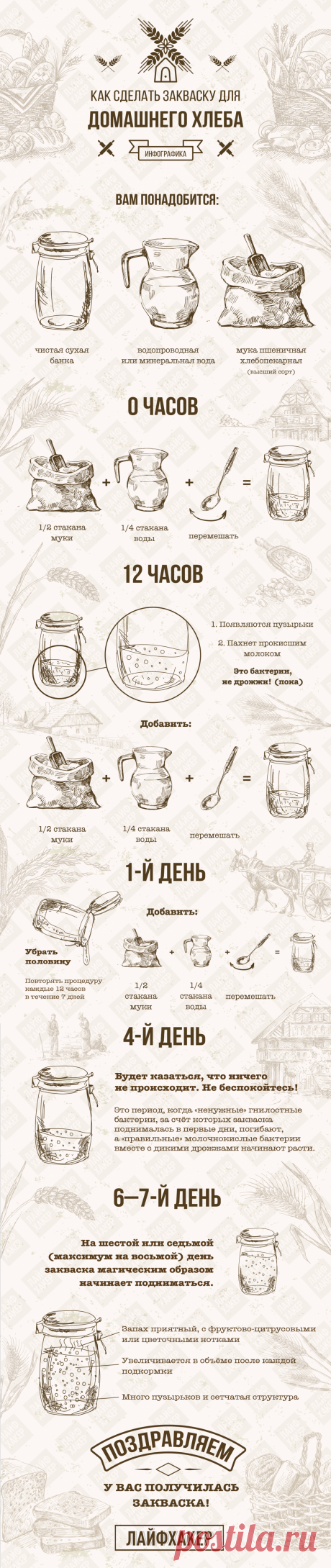ИНФОГРАФИКА: Как приготовить закваску для хлеба - Лайфхакер