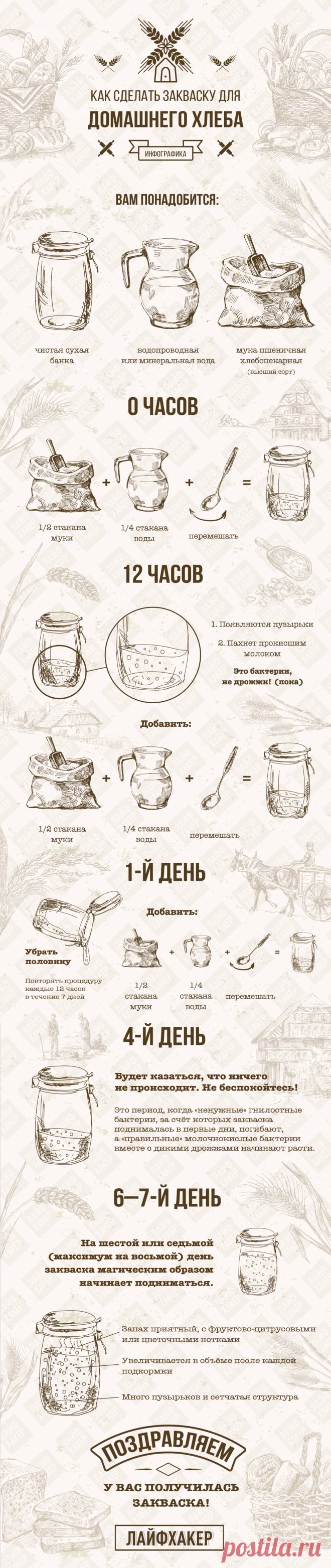 ИНФОГРАФИКА: Как приготовить закваску для хлеба - Лайфхакер