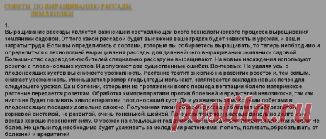 Ягодное раздолье | Советы по выращиванию рассады